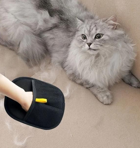 Washable Hair Removal Gloves for a Fur-Free Home