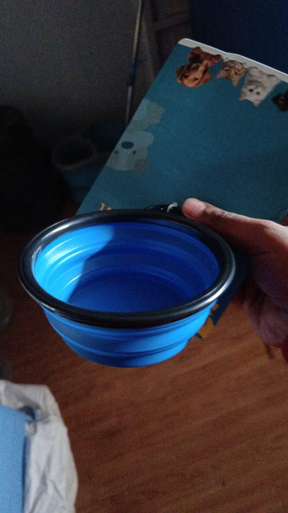 Portable Foldable Pet Feeding Bowl