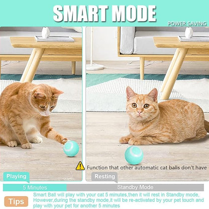 Automatic Self-Rolling Ball for Pets